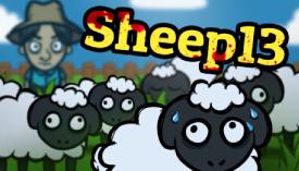 Sheep13